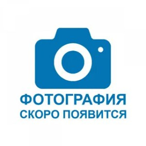 Левакова Екатерина Александровна Левакова Екатерина Александровна